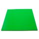 Спінений плоский ПВХ лист PALIGHT 3 мм 600х400 мм (зелений)