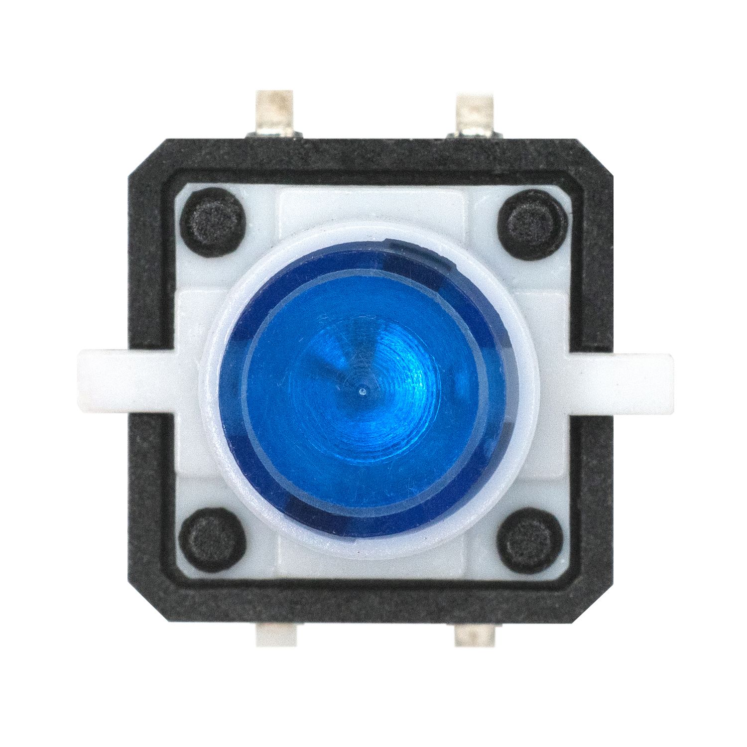 Основное фото Тактовая кнопка с подсветкой 12x12x7.3 мм, синяя в интернет - магазине RoboStore Arduino